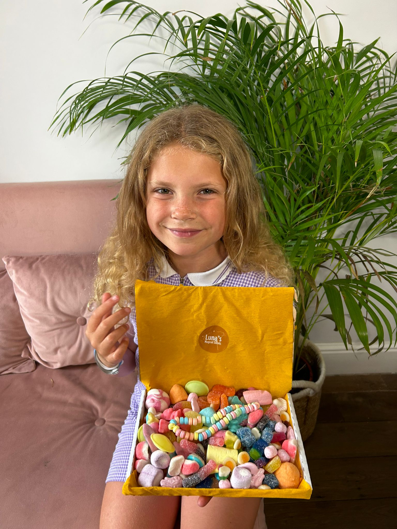 Nibbleboxes